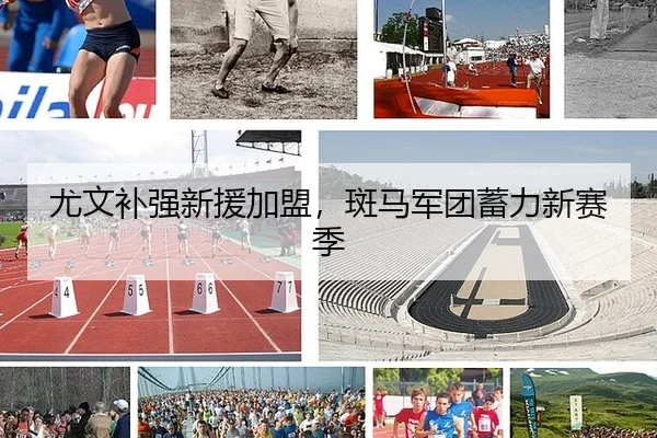 尤文补强新援加盟，斑马军团蓄力新赛季